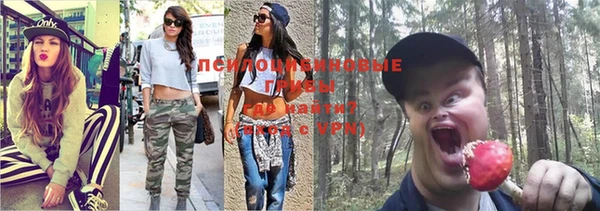 дмт Баксан