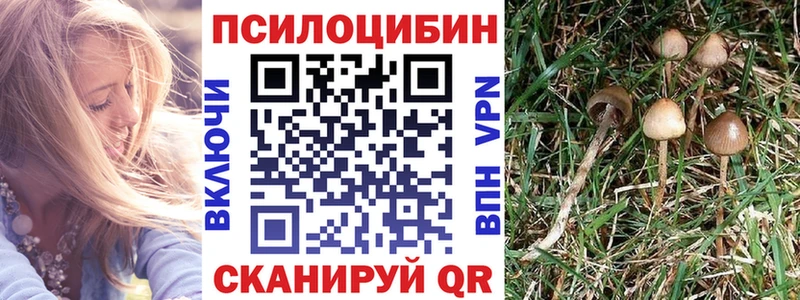 площадка наркотические препараты  Заводоуковск  Псилоцибиновые грибы прущие грибы 